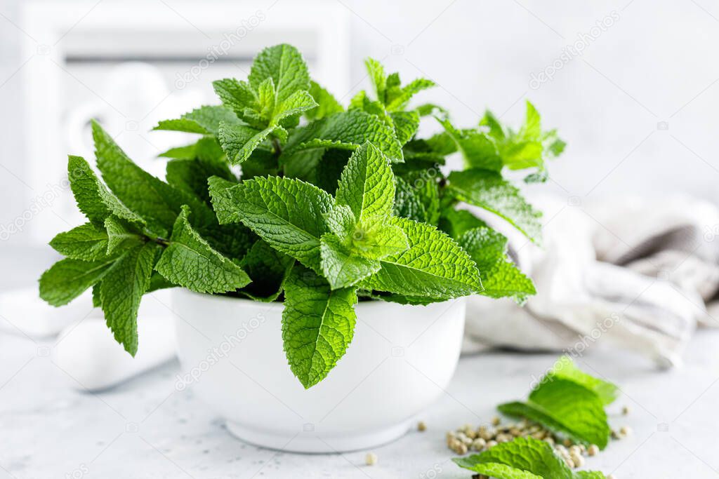 Mint leaves in bunch on white kitchen table closeu