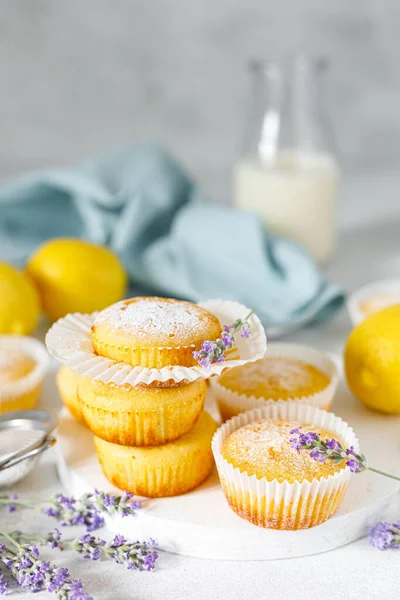 Citronmuffins Med Sockerpulver — Stockfoto