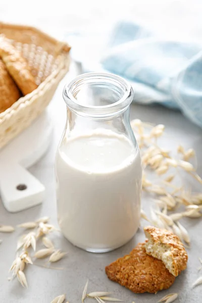 Leite Aveia Bebida Leite Alternativa Vegetariana Deliciosa Saudável Leite Não — Fotografia de Stock