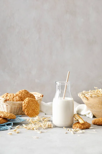 Овсяное Молоко Вкусный Здоровый Вегетарианский Альтернативный Молочный Напиток — стоковое фото