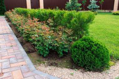 Peyzaj tasarımı ve öğelerinin Fotoğrafçılık