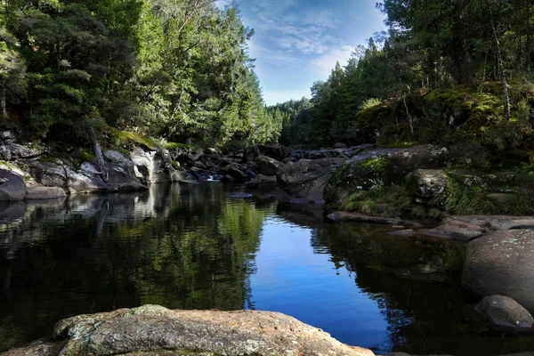 Mclaren Falls Park Tauranga North Island Nieuw Zeeland — Stockfoto