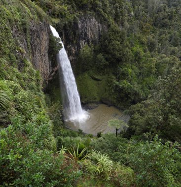 Bir havuza düşen su