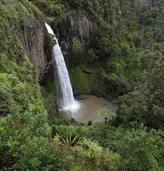 Bir havuza düşen su