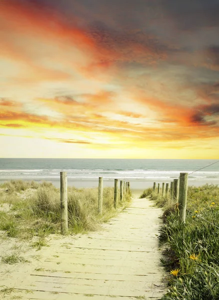 Pathway Leading Beach — Stock Photo, Image