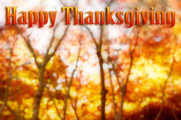 Счастливого Дня Благодарения Осенний Лес Заднем Плане — стоковое фото