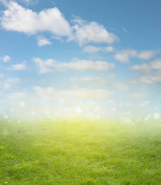 Yeşil çayır ve mavi gökyüzü bahar adam