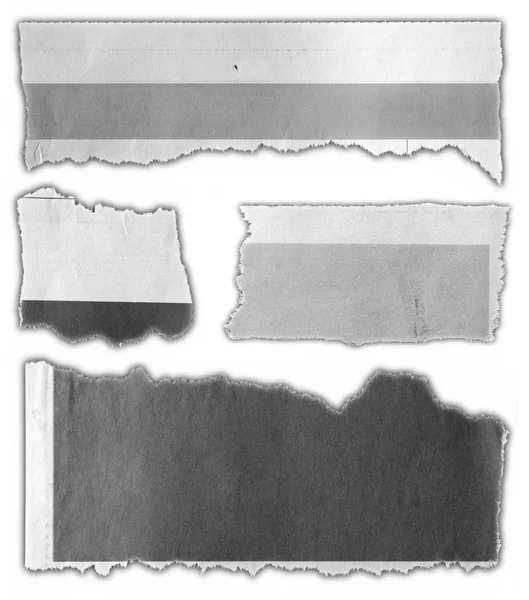 Čtyři Kusy Roztrhaného Papíru Prostém Pozadí — Stock fotografie