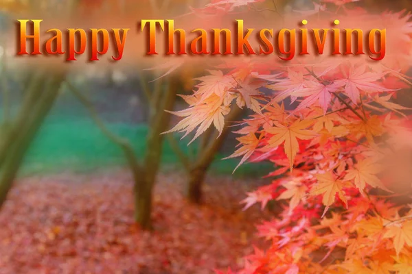 Happy Thanksgiving Fall Forest Background — Stock Photo, Image