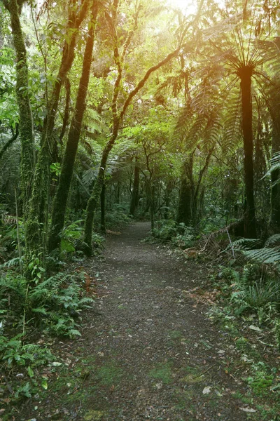 Wanderweg — Stockfoto