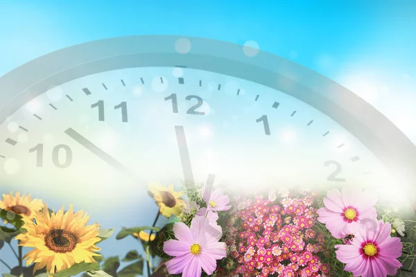 Relógio e flores da primavera — Fotografia de Stock