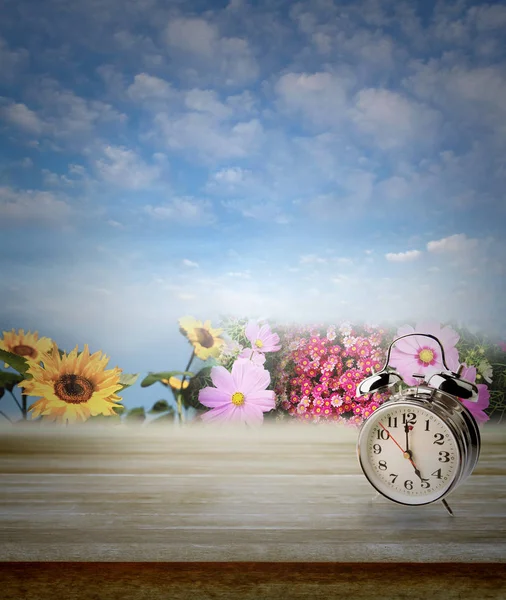 Jarní květy času — Stock fotografie