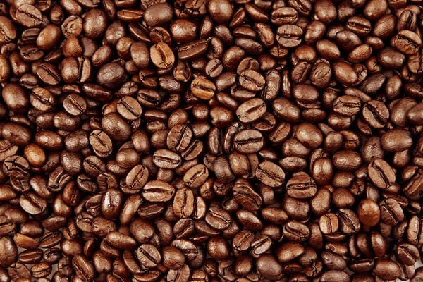 Kávébab közelkép — Stock Fotó