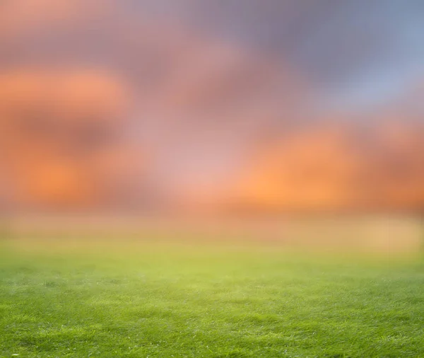 绿草和模糊的天空背景 — 图库照片