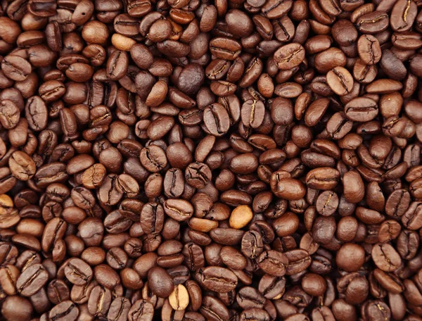 Kaffebønner close-up - Stock-foto