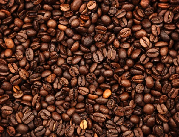 Granos de café primer plano — Foto de Stock