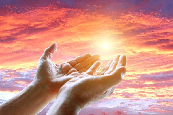 Руки в небо
