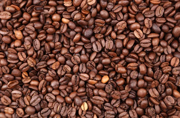 Feijão de café close-up — Fotografia de Stock