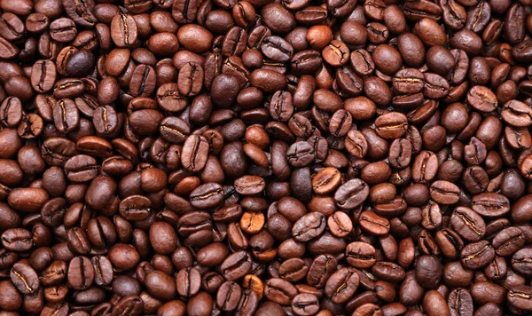 Pörkölt Kávébab Közelsége — Stock Fotó