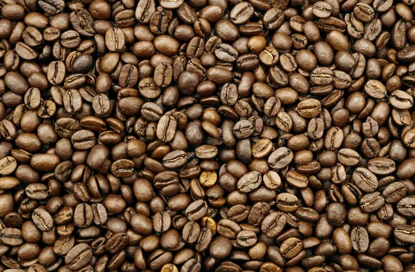 Closeup Roasted Coffee Beans — Stock Photo, Image