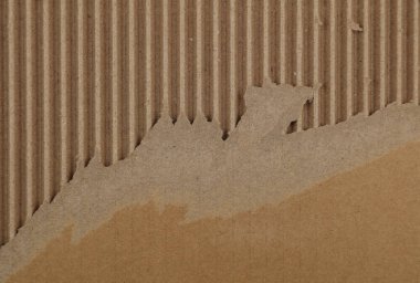 Yırtık kahverengi karton dokunun yakın çekimi 