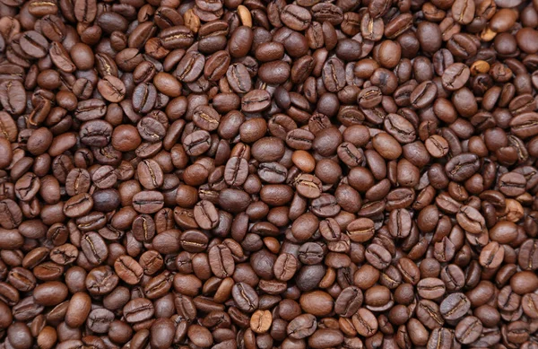 Pörkölt Kávébab Közelsége — Stock Fotó