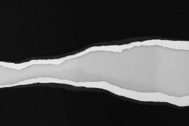 Gri arkaplan üzerinde yırtılmış kağıt, kopyalamak için boşluk