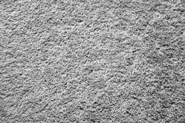 Short Fiber Grey Carpet Close — Stock Photo, Image