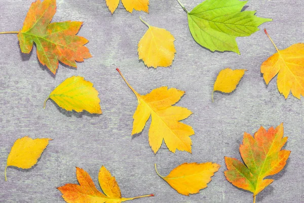 Осень Разноцветные Старые Листья Деревянном Фоне Гранж Винтажный Стиль — стоковое фото