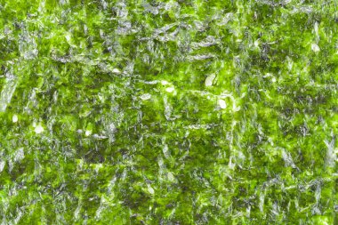 Yeşil yosun parçaları, beyaz arka planda izole edilmiş. Kore sağlıklı atıştırmalıkları, sağlıklı yemekler. Yakın çekim görünümü.