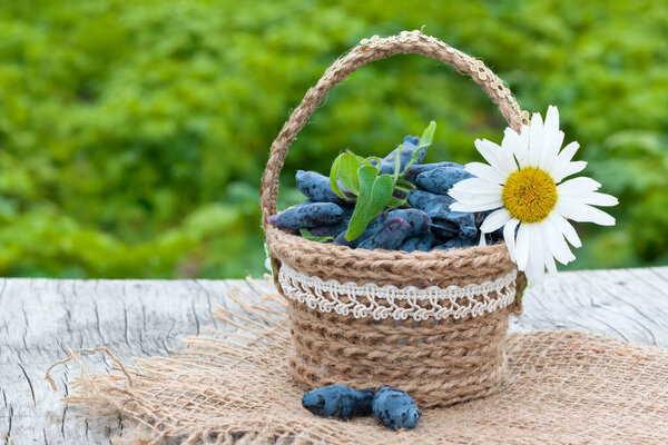 Ранние голубые ягоды жимолости (лат. Lonicera coerulea) в корзине ручной работы на деревянном столе в деревенском стиле
