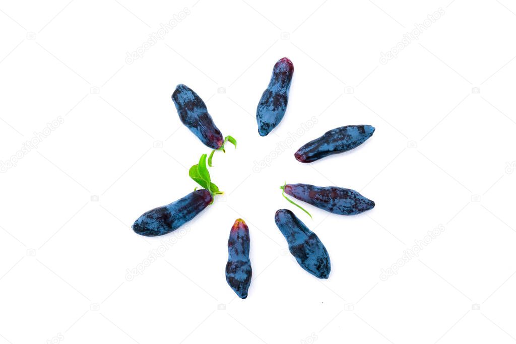 Pattern food from early blue honeysuckle berries (lat. Lonicera coerulea) on a white background
