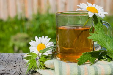 Vahşi çayır bitkilerinden yapılan rahatlatıcı çay, şifalı papatya çiçekleri ve ahşap bir masada cam bir bardaktaki anaç otu otları. Yaz yeşilliğinin arka planına yakın plan, köy tarzı