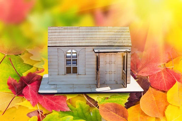 Model of a wooden house on a background of multi-colored yellow, red, orange, green autumn leaves. Beautiful natural background