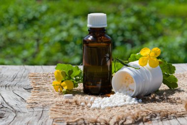 Homeopati kavramı. Homeopatik toplar, plastik kavanozdaki haplar, tıbbi bitkinin sarı çiçekleri, yeşil arka plan. Alternatif, tıp, kopyalama alanı