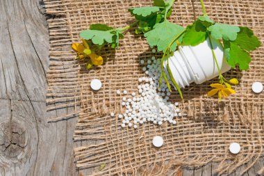 Homeopati kavramı. Homeopatik toplar, plastik kavanozdaki haplar, tıbbi bitkinin sarı çiçekleri, yeşil arka plan. Alternatif, tıp, kopyalama alanı