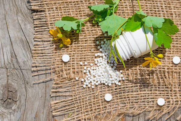 Conceito Homeopatia Bolas Homeopáticas Pílulas Frasco Plástico Flores Amarelas Planta — Fotografia de Stock