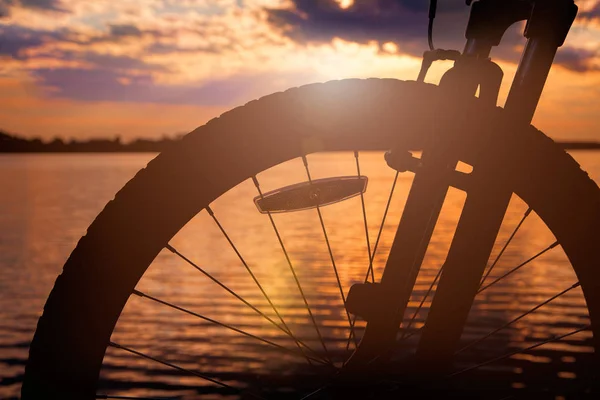 轮子自行车反对夏天日落在湖 — 图库照片