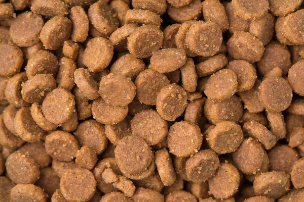 Droge Pet Food close-up. — Stockfoto
