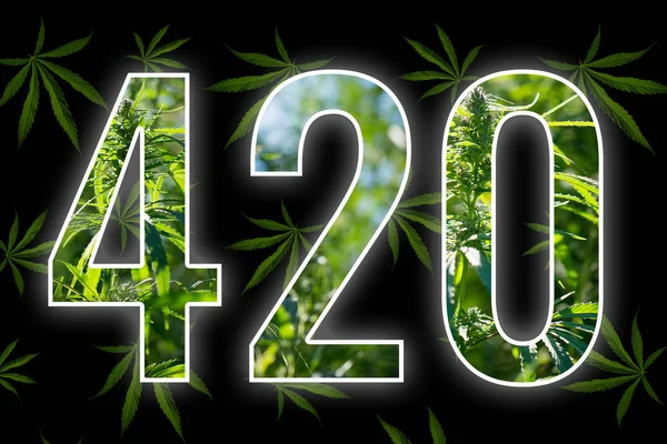 Fyra-tjugo tid för rökning marijuana. — Stockfoto