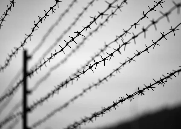 The territory of the restricted area with barbed wire fencing — Stock Photo, Image