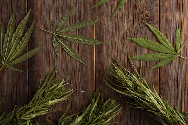 Grüne Cannabisblätter liegen auf dem Tisch. — Stockfoto