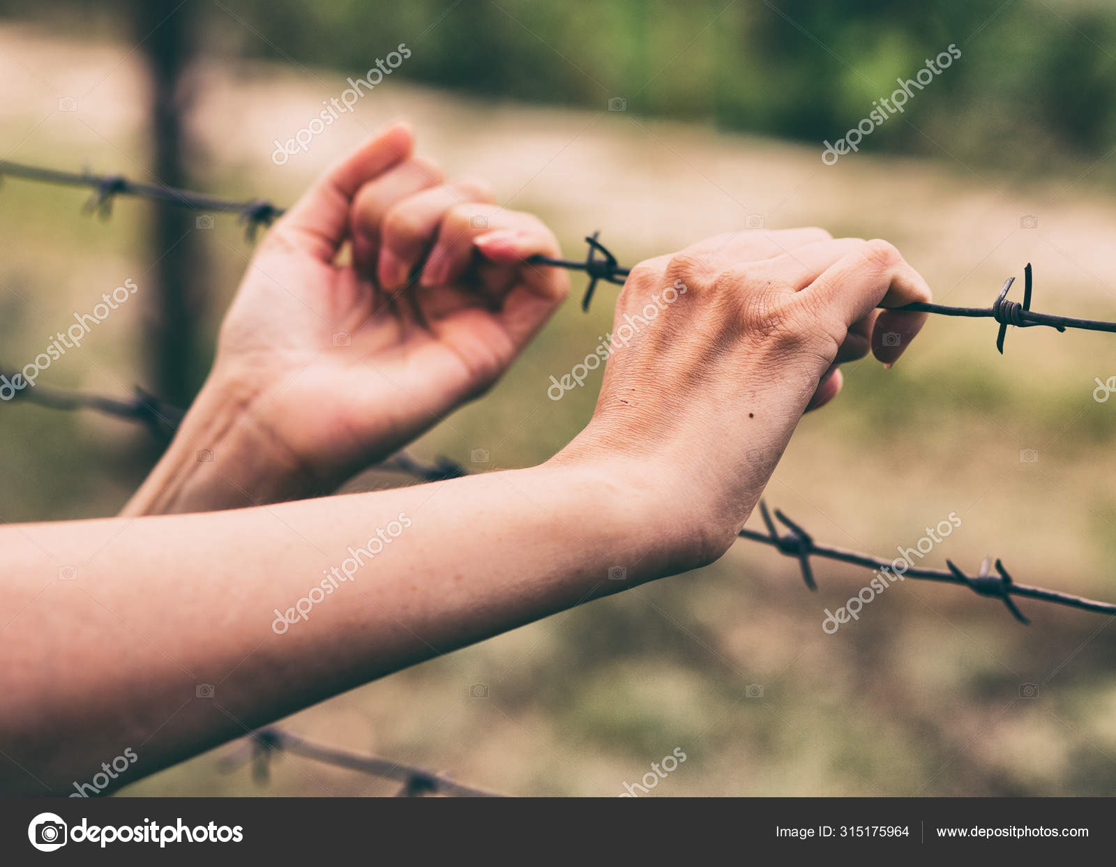 Barbed wire sale girls