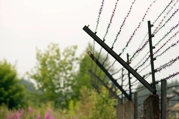 Barbed wire in perspective. Restricted area. — Stock Photo, Image