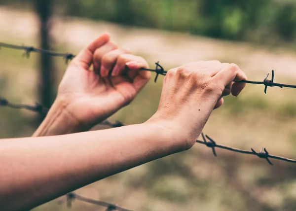 Barbed wire and the hands of a girl. Conceptual scene. Hunger fo — Stock Photo, Image