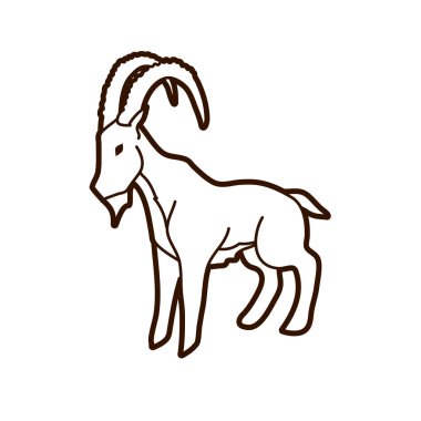 Dağ keçisi ayakta grafik vektör