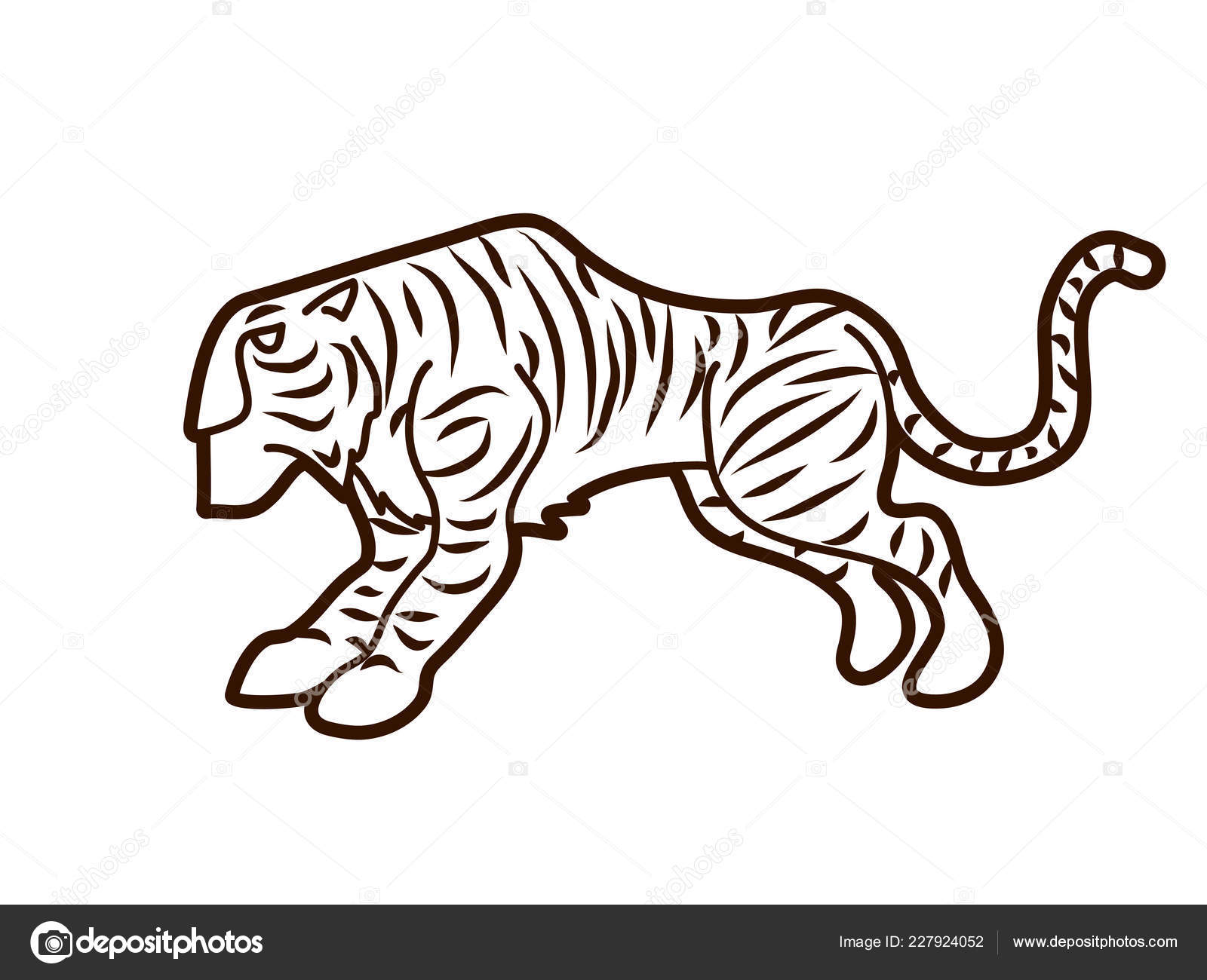 4,251 Tiger Front View Images, Stock Photos, 3D objects, & Vectors