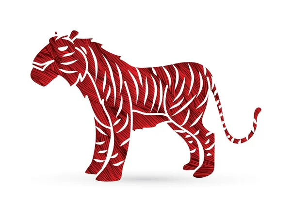 Tigre Dessin Animé Vecteur Graphique — Image vectorielle
