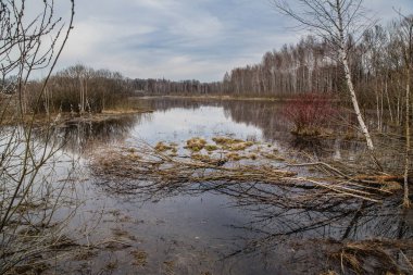 güzel sabah gölet sahip