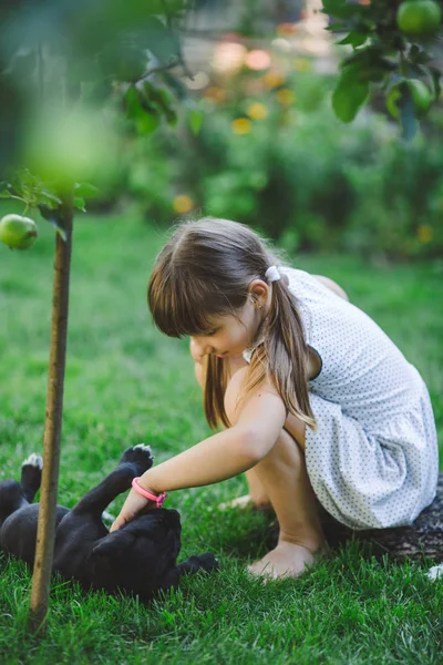 Bonito Menina Brincando Com Cachorro Livre — Fotografia de Stock